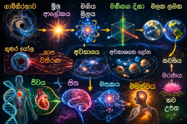 Universal Structure Sciense 1