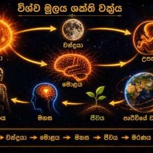 Universal structure Science 2 (comming soon) - Image 2