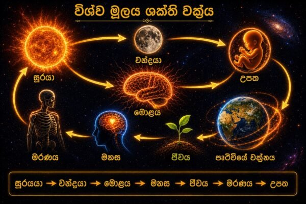 Universal structure Science 2 (comming soon)
